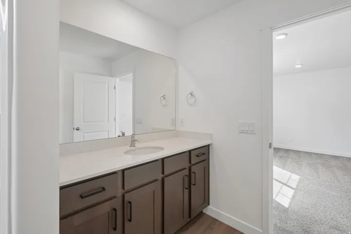 Vanity with a single basin sink, light-toned countertop, dark wood-finish cabinetry, and a large wall-mounted mirror