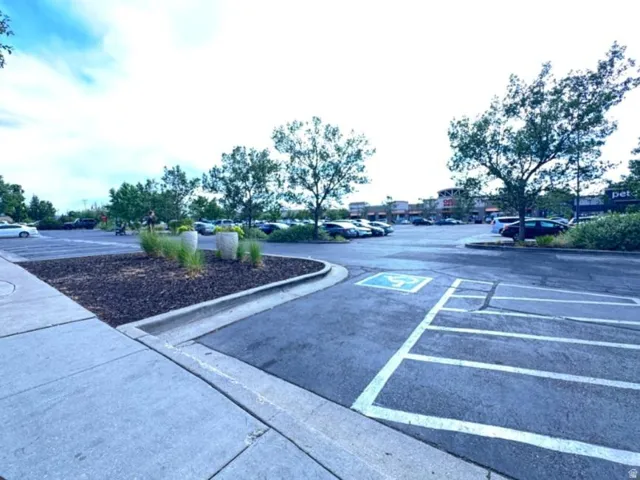Paved parking lot featuring a curbed island with landscaping, mature trees, and visible commercial buildings in the background