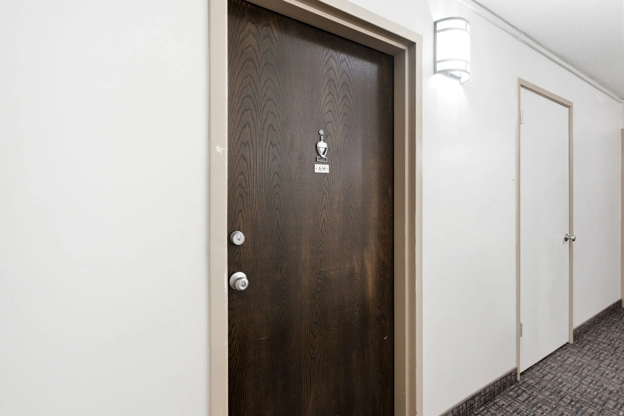 Dark wood-finish entry door with chrome hardware, featuring a modern wall-mounted sconce and light-colored trim