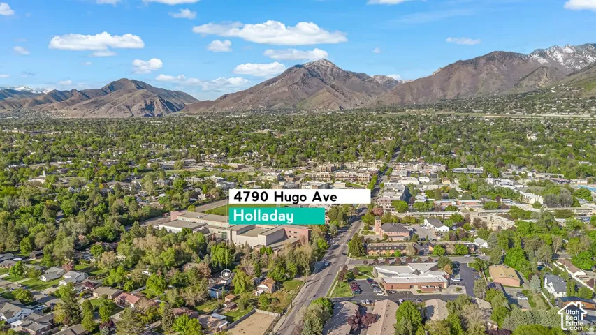 Expansive aerial perspective showcasing a verdant, tree-lined neighborhood