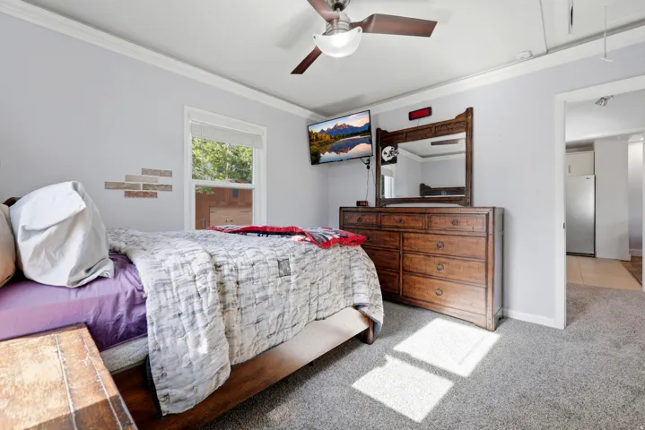 Carpeted room featuring a ceiling fan with integrated lighting, a window with blinds, and white trim
