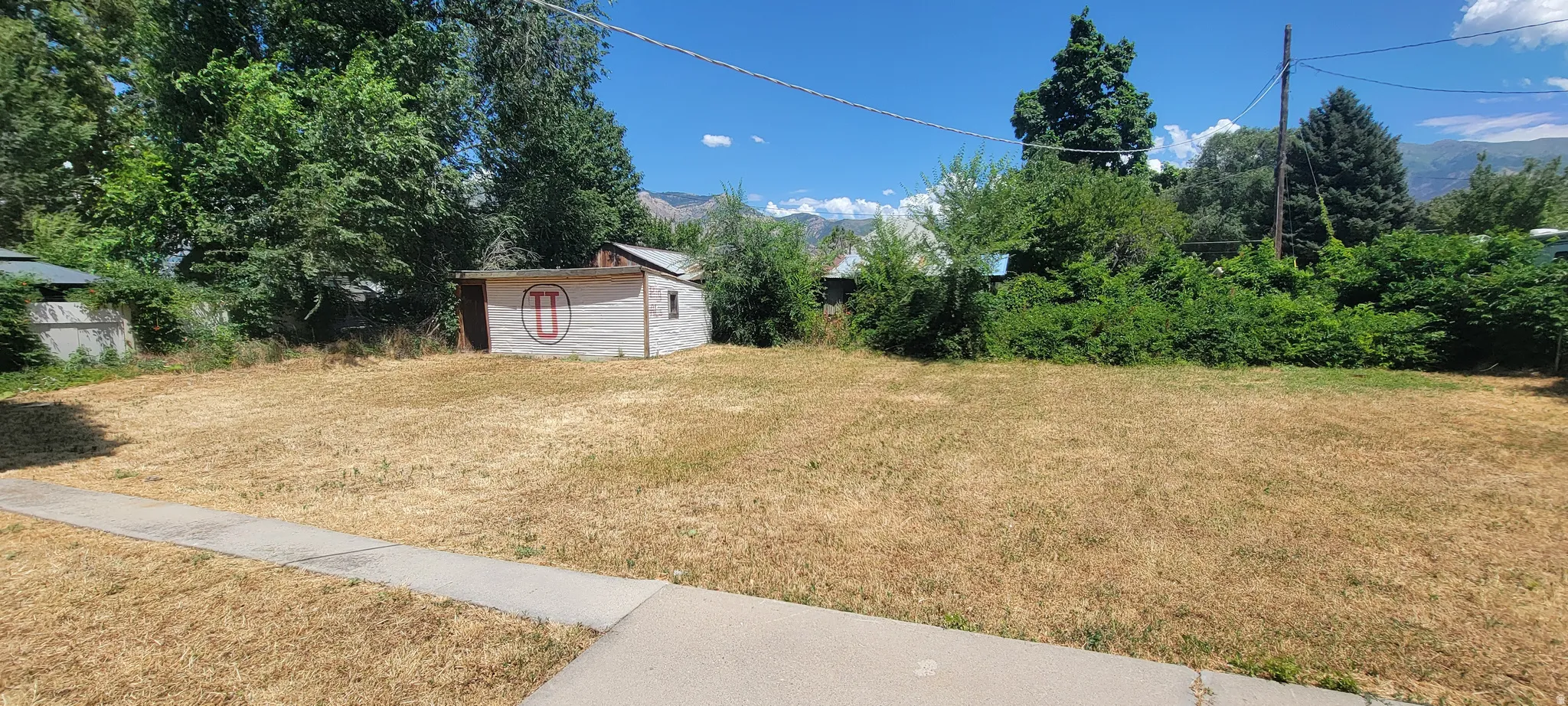 Expansive lot featuring a concrete sidewalk and a detached storage shed