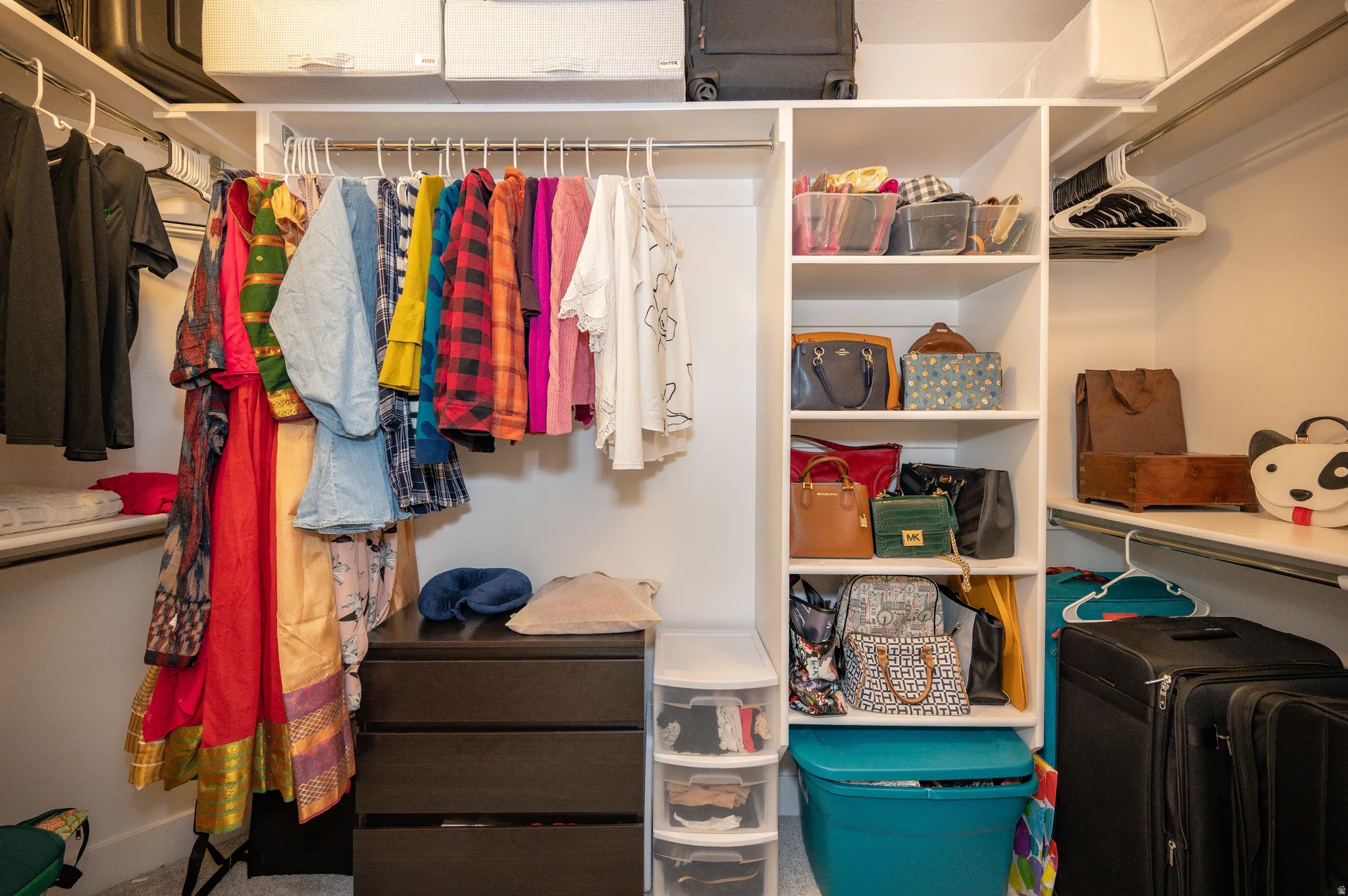 Integrated closet system featuring white shelving and hanging rods
