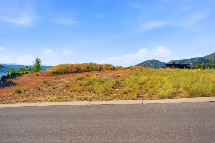 Elevated building lot featuring a paved roadway and curb