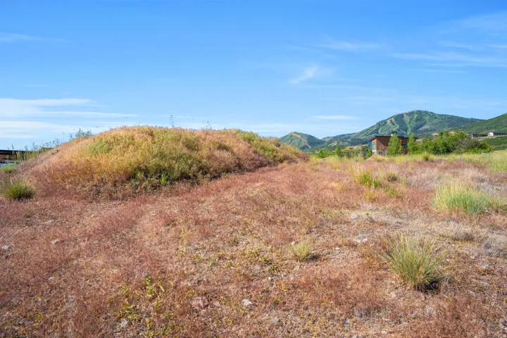Expansive undeveloped land featuring natural grasses