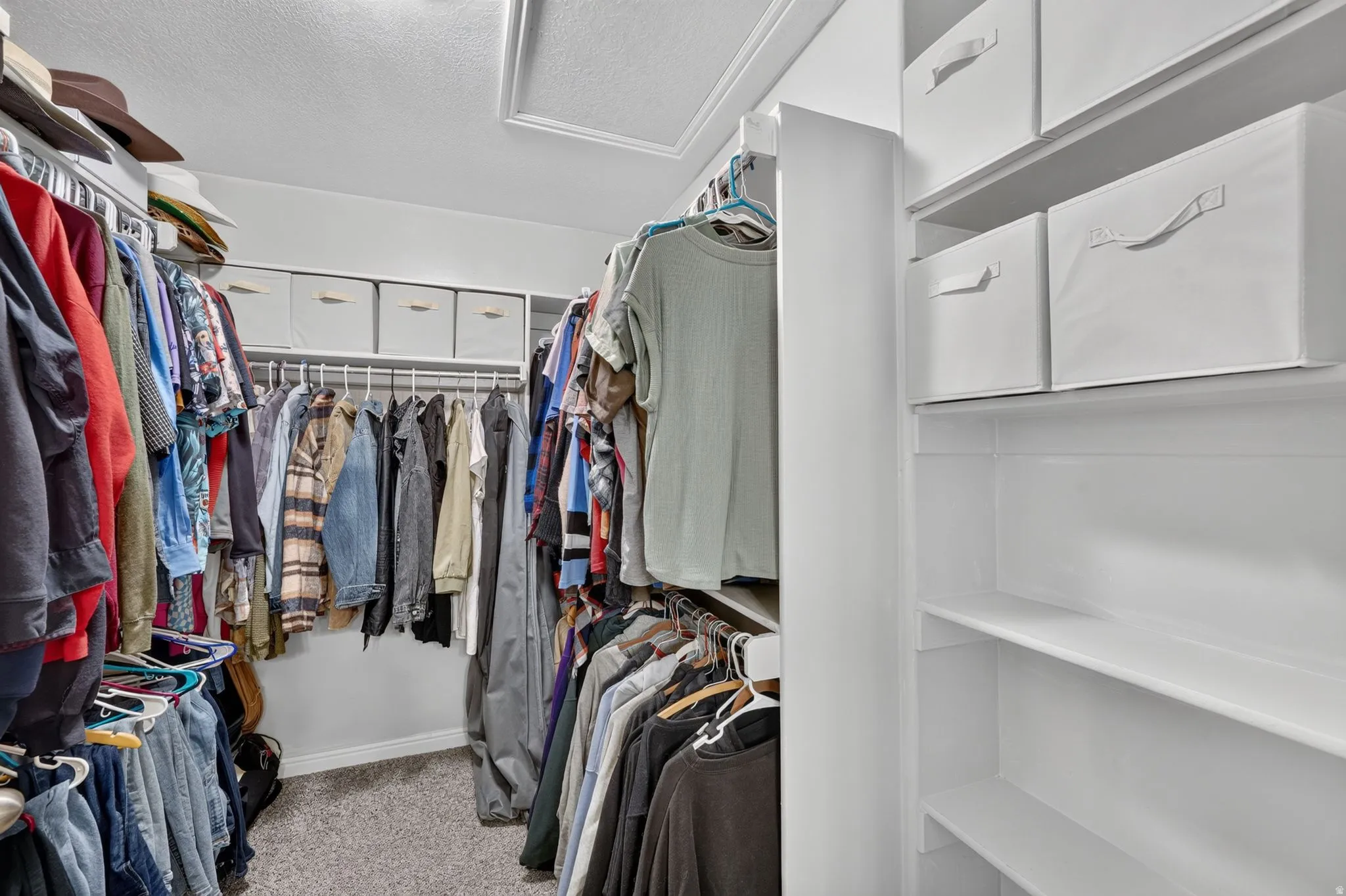 Walk-in closet featuring carpet flooring, white wire shelving, built-in white shelving, and a ceiling access panel