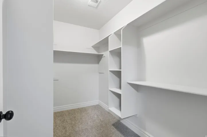Dedicated storage space featuring light gray carpet flooring, white painted walls, and built-in shelving