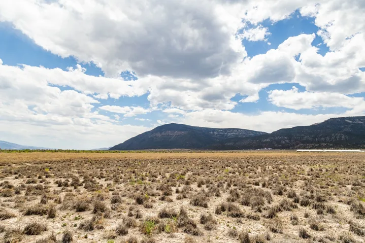 935 E 14250 N, Wales, Utah 84667