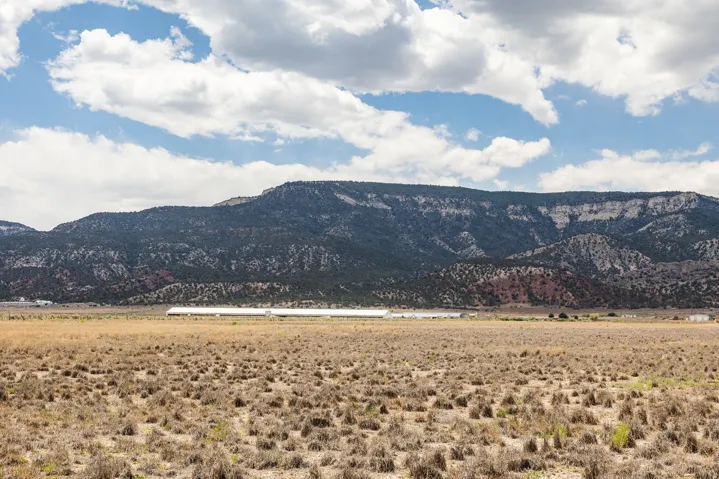 935 E 14250 N, Wales, Utah 84667