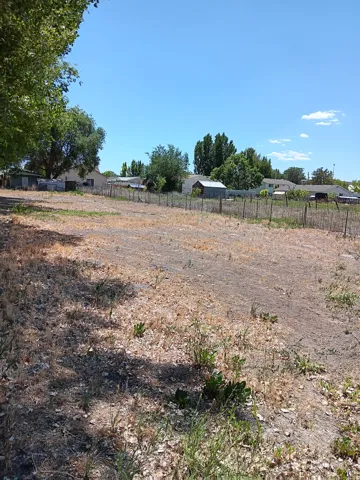 Expansive undeveloped lot featuring a partial wire fence and mature perimeter trees