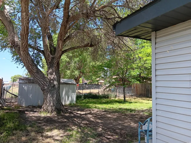 Spacious outdoor area featuring a mature tree, two storage sheds, and a partial view of the property's siding