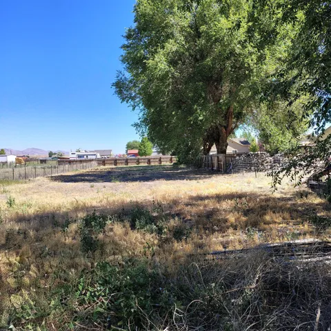 Expansive lot featuring mature trees, a wooden perimeter fence, and a wire perimeter fence