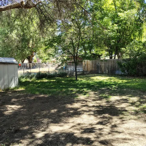 Expansive outdoor area featuring mature trees, partial wood fencing, and a storage shed