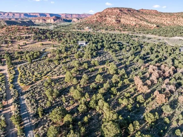 Expansive natural landscape featuring a single-story residence, surrounded by abundant trees and varied scrubland