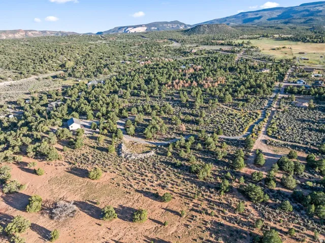 Expansive rural property featuring a single-story residence, mature evergreen trees, and natural desert landscaping with distant mountain ranges