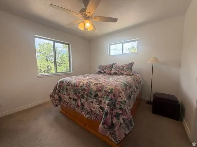 Neutral wall tones, carpeted flooring, and a ceiling fan with integrated lighting