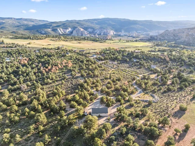 Single-story residence set amidst expansive natural landscaping with numerous trees