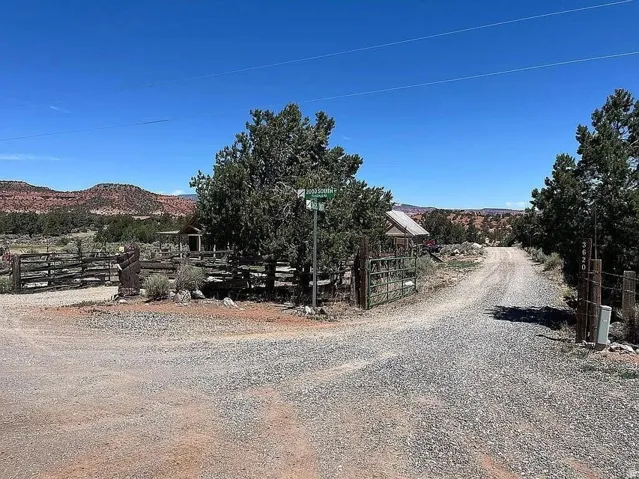 Gravel driveway leading to the property, surrounded by natural landscaping and mature trees