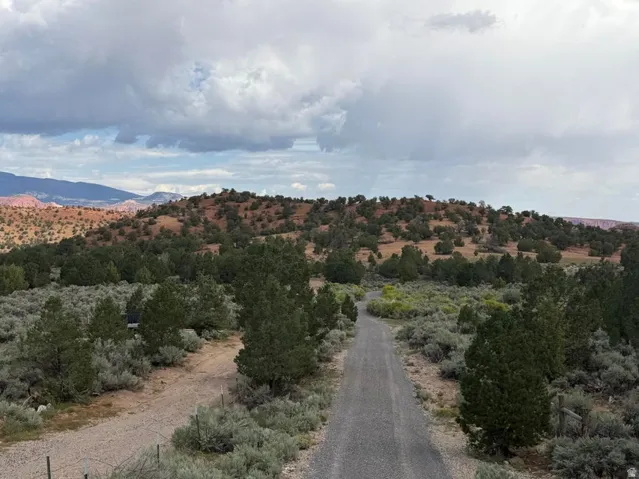 Gravel drive with surrounding natural foliage and distant elevated terrain