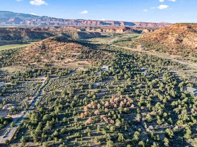 Expansive property featuring natural landscaping, mature trees, and mountainous terrain