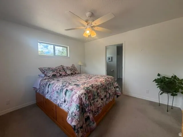 Recessed window, ceiling fan with light fixture, light gray carpeting, and white painted walls