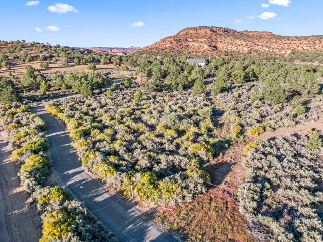 Expansive natural landscape with varied terrain, dense brush, and scattered trees
