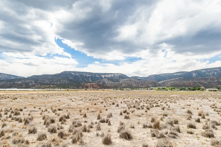 805 E 14250 N, Wales, Utah 84667