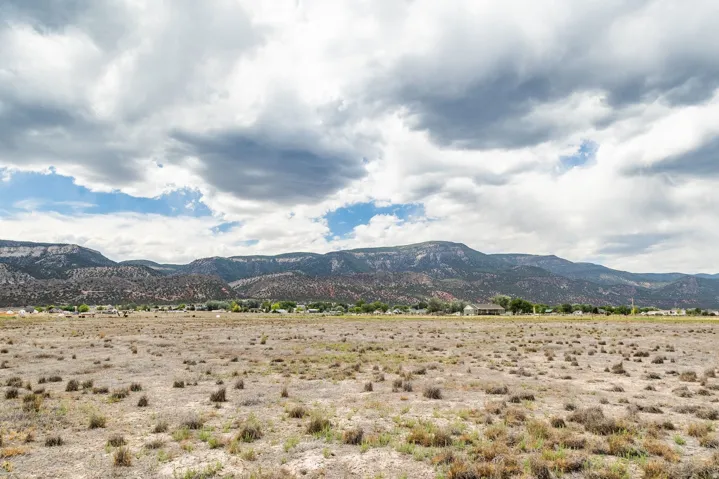 675 E 14250 N, Wales, Utah 84667