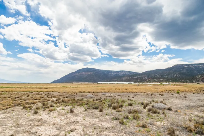 675 E 14250 N, Wales, Utah 84667