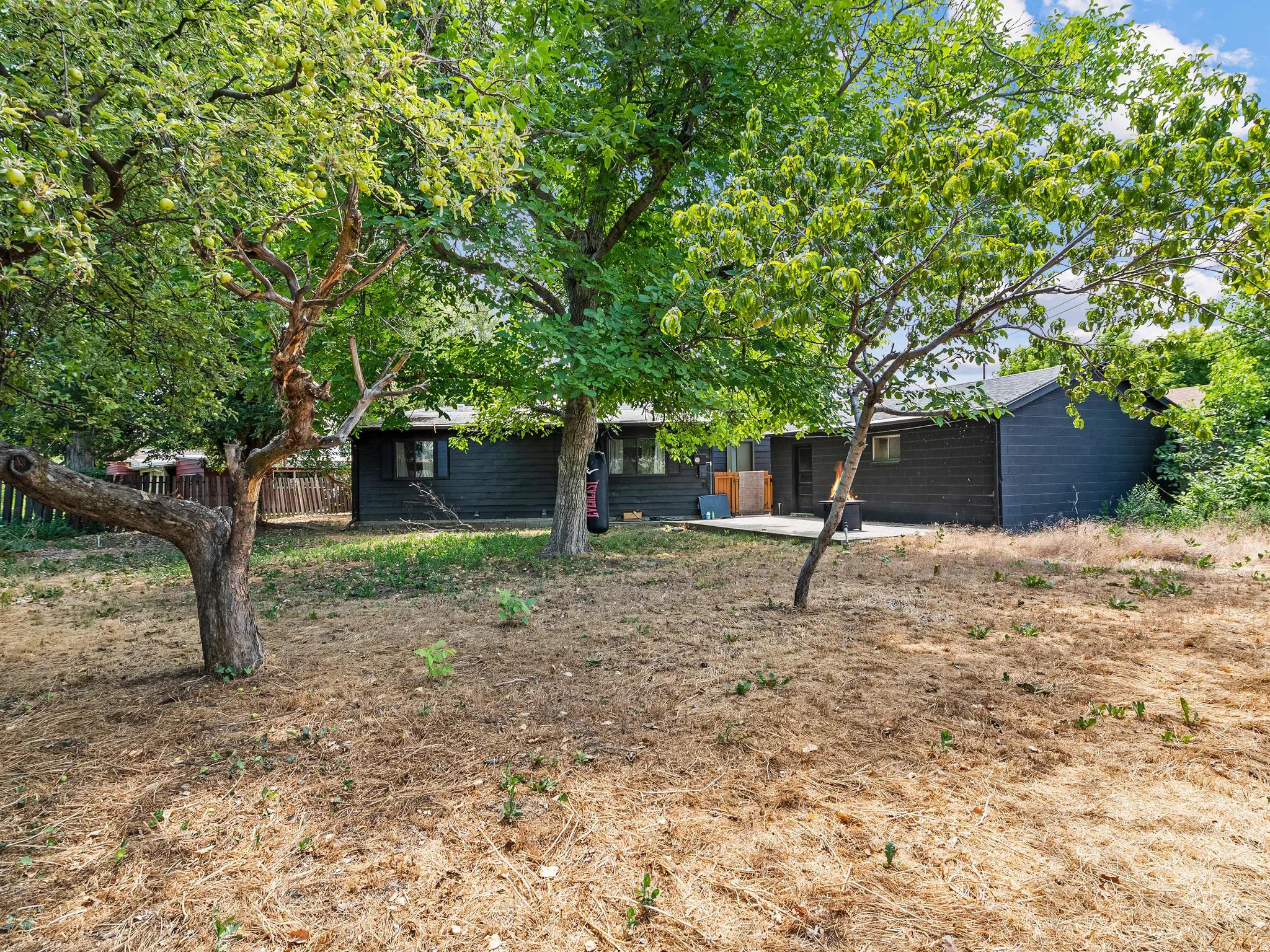 Spacious backyard featuring mature deciduous trees and a dark-paneled exterior