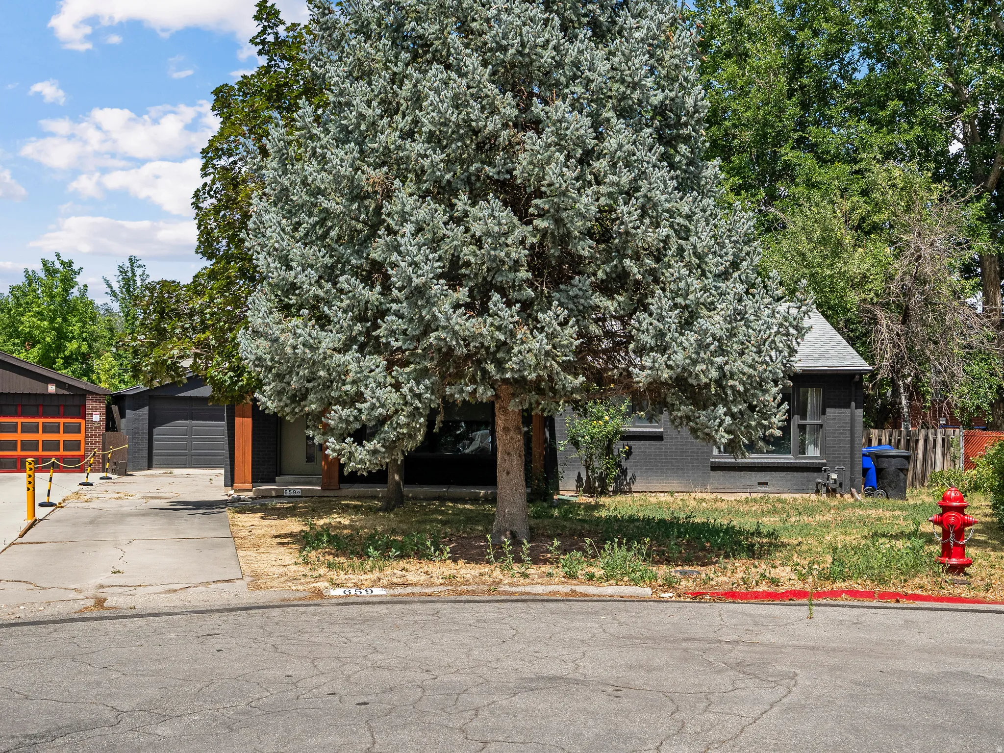 Mature front yard tree providing natural shading