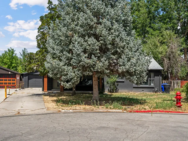 Mature front yard tree providing natural shading