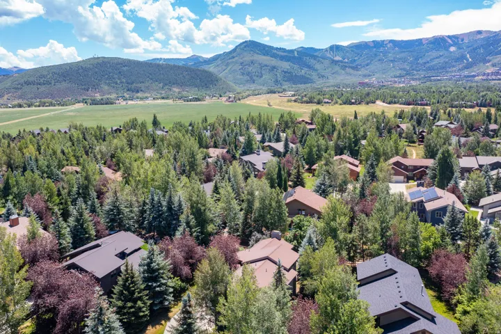 Expansive aerial perspective showcasing a residential area surrounded by abundant mature trees and a distant mountainous backdrop