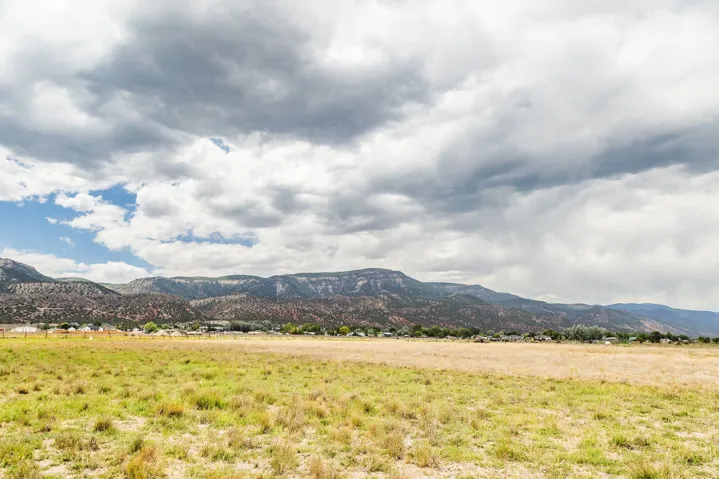 580 E 14250 N, Wales, Utah 84667