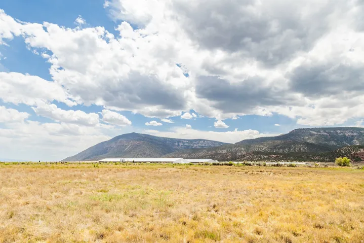 580 E 14250 N, Wales, Utah 84667