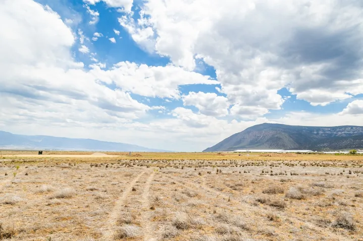 585 E 14250 N, Wales, Utah 84667
