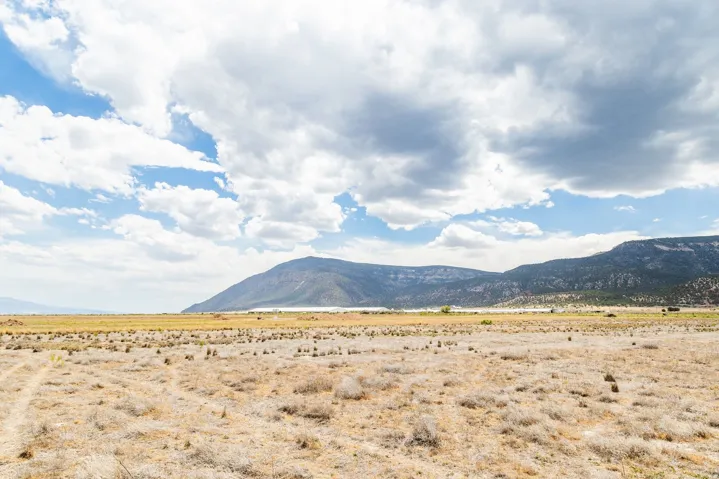 585 E 14250 N, Wales, Utah 84667