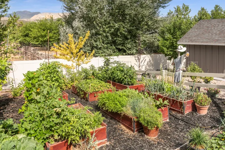 Backyard garden featuring multiple raised planter beds, a white privacy fence, and mature landscaping