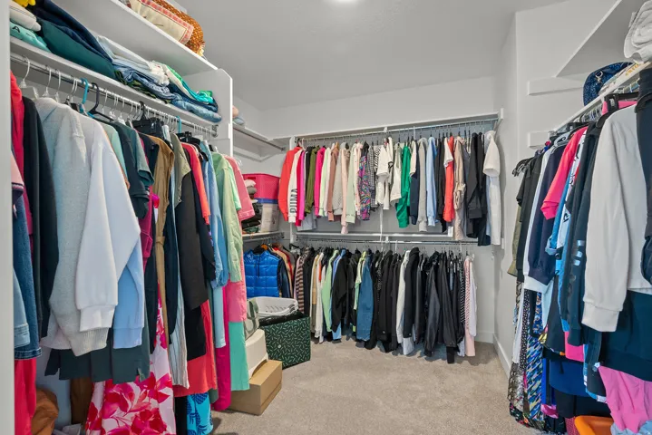 Walk-in closet featuring built-in shelving, multiple hanging rods, and carpet flooring