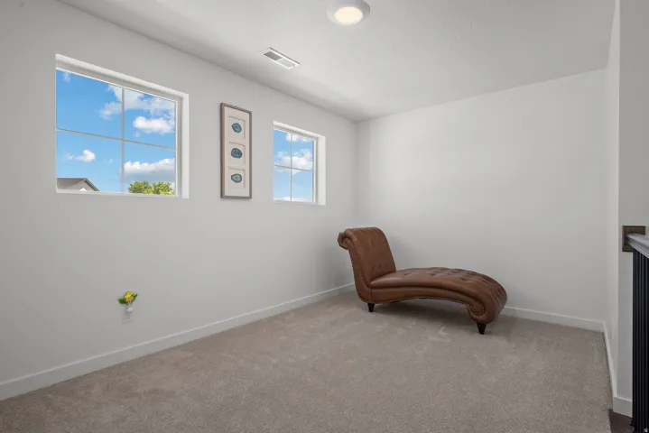 Carpeted room featuring multiple windows with grid patterns, light gray walls, and white trim