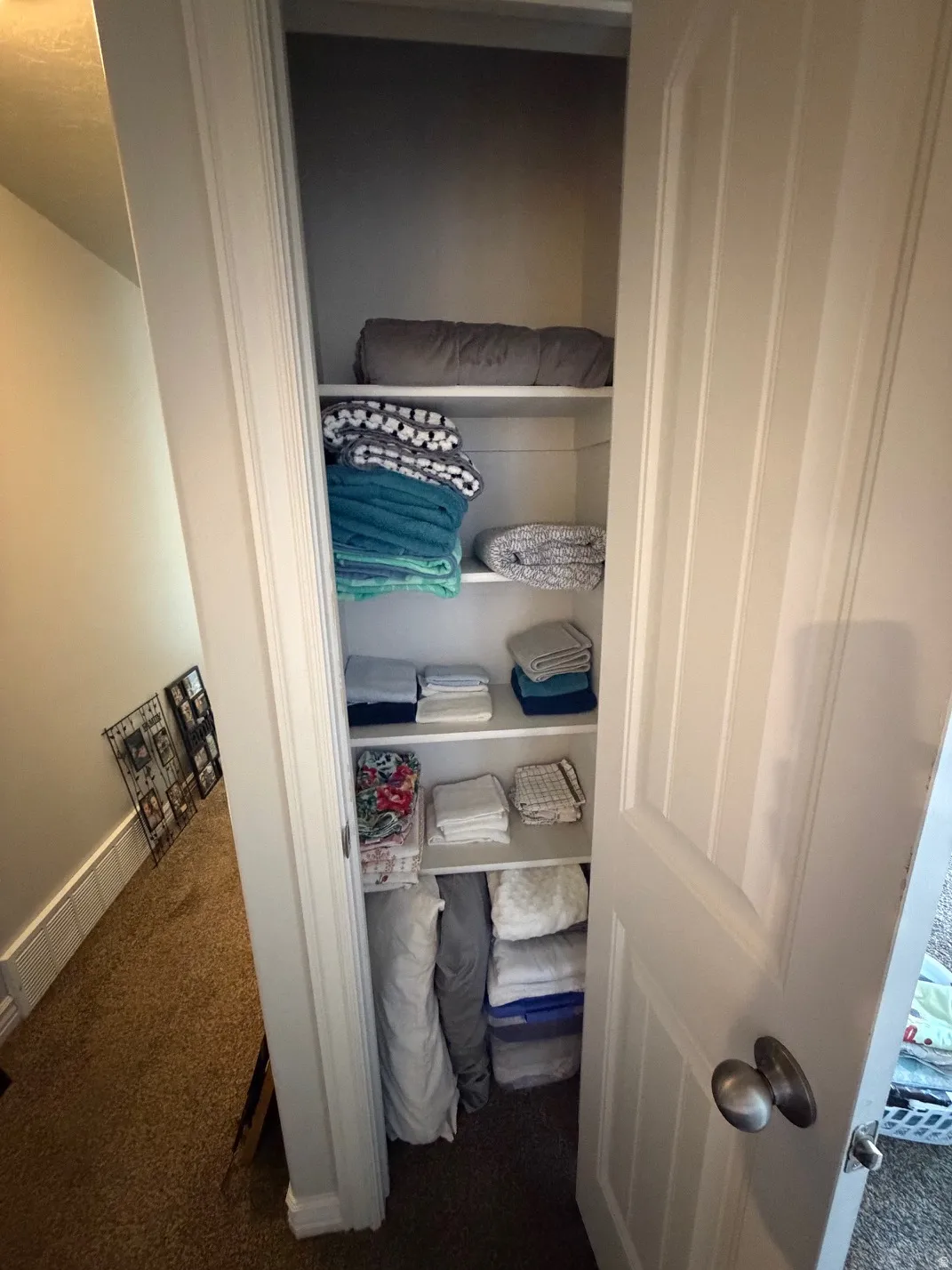 Vertical storage closet featuring multiple fixed shelves, a paneled door with a bronze knob, and carpet flooring