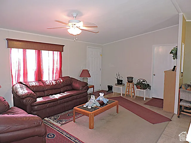 Living area with a ceiling fan light fixture, light wall tones,