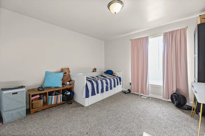 Neutral wall paint in a large room featuring a window with full-length drapes, a flush-mount ceiling light fixture, and grey carpet