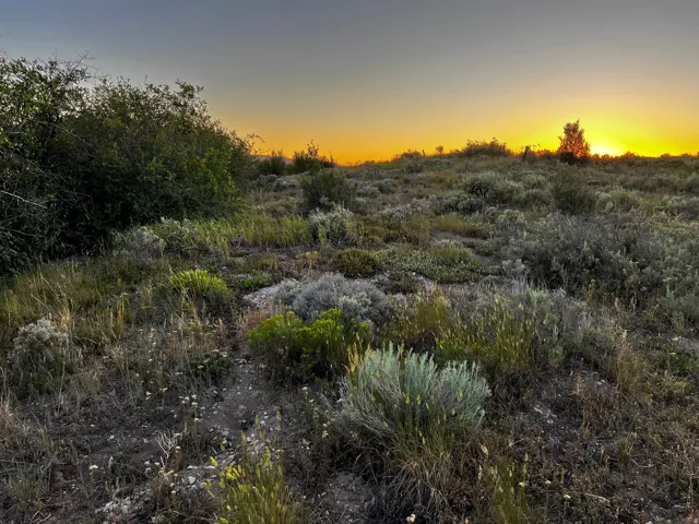 Expansive natural landscape featuring varied vegetation