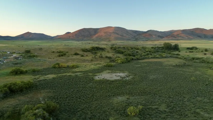 Expansive landscape featuring diverse vegetation and distant rolling hills