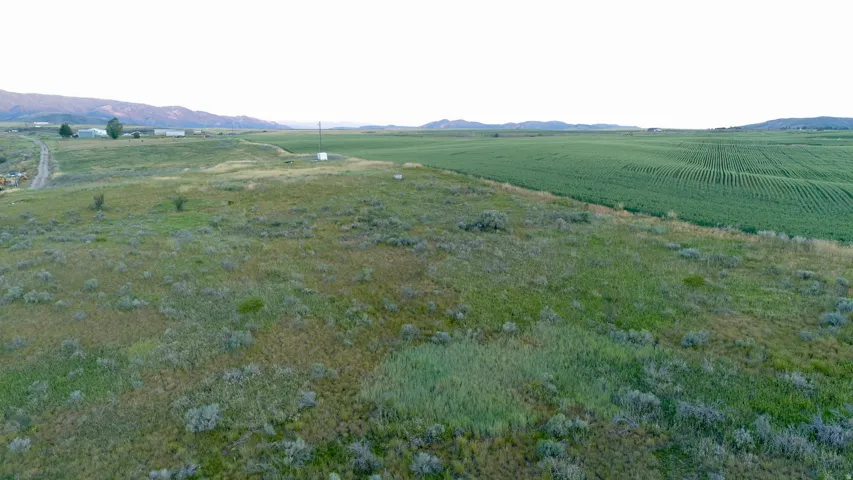 Expansive undeveloped land featuring natural vegetation and a cultivated field