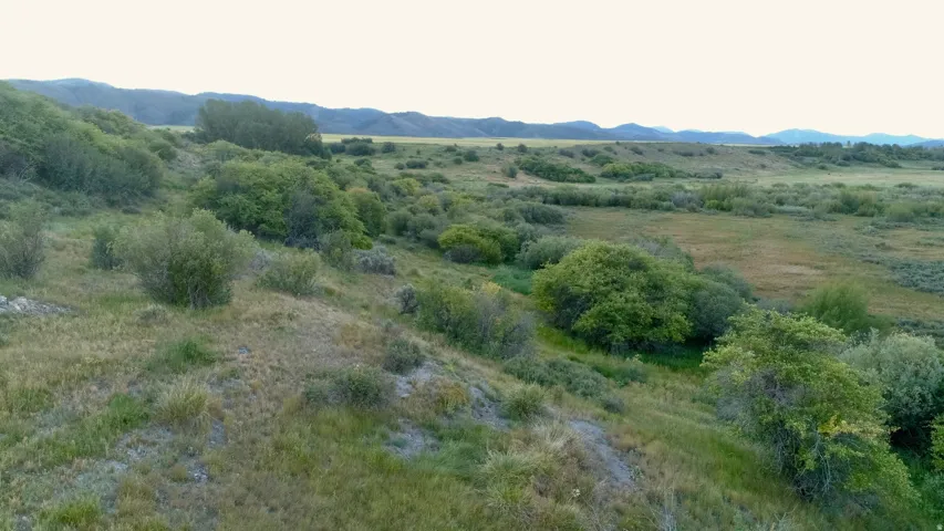Expansive natural landscape featuring rolling hills and distant mountains