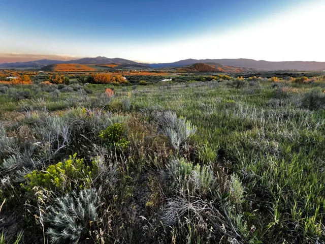 Expansive open land with varied natural vegetation, distant mountains, and a clear sky