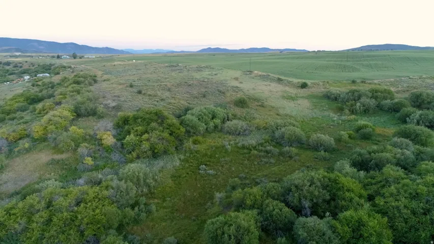Expansive undeveloped land featuring natural vegetation, scattered mature trees, and distant rolling hills