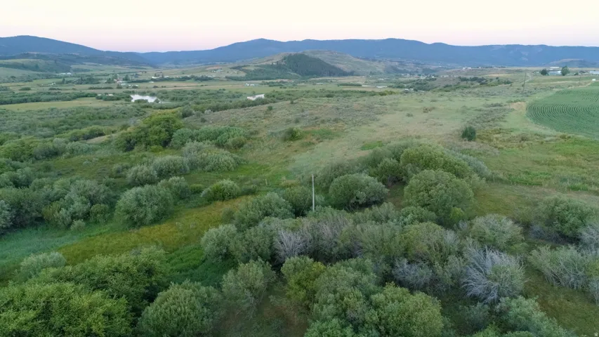 Expansive natural landscape featuring lush green foliage and distant mountain ranges